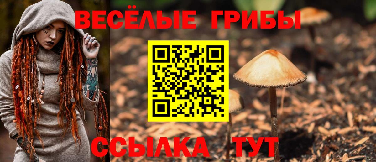 Железногорск  Псилоцибиновые грибы Psilocybe  Вход с VPN 
