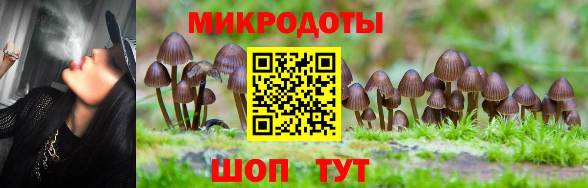 Галлюциногенные грибы мухоморы Железногорск
